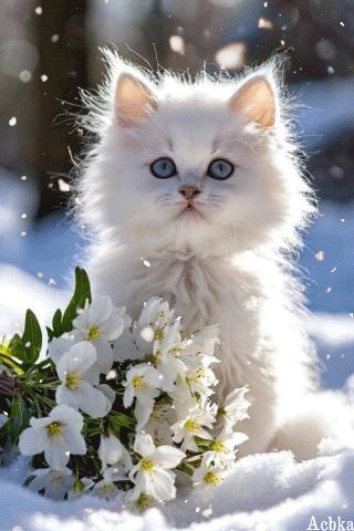 file_98943568