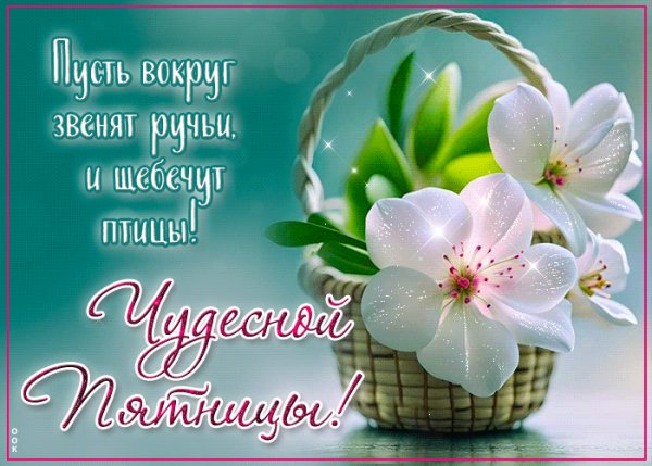 IMG 20250322 112437