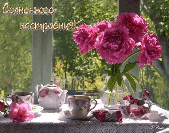 Анимированная открытка солнечного настроения