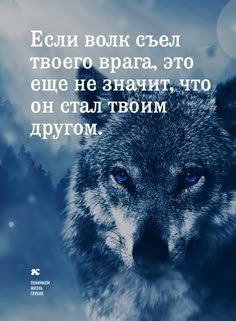 55e4afdb17f7e1f3949b3d9f652289a4