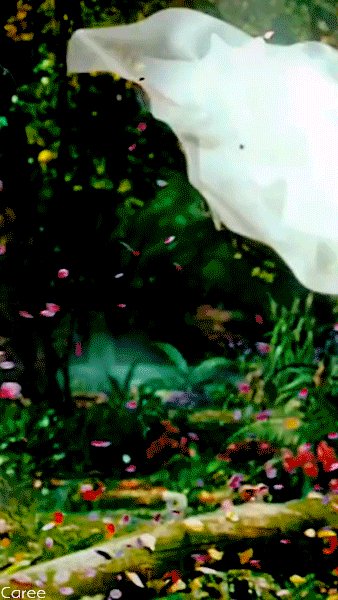 file_83238216