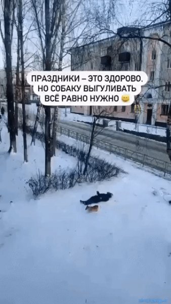 IMG 20240103 035555