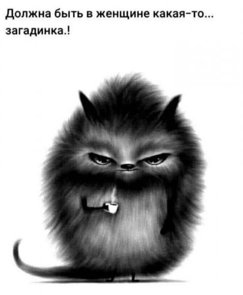 FB IMG 1757358037923