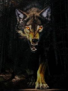 Wolf Animated