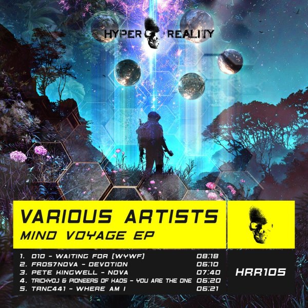 TrickyDJ / Pioneers of Kaos - You Are The One  (Original Mix)