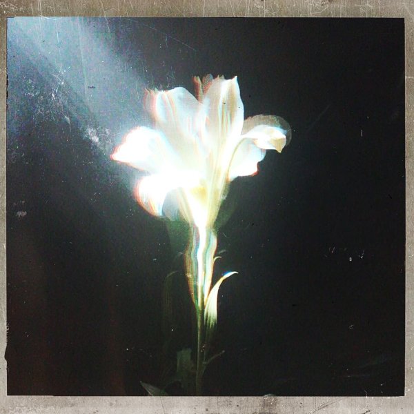 Netsky &amp; Bebe Rexha - Light That Leads Me (Original Mix)