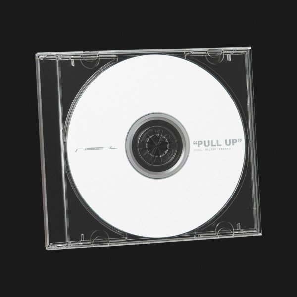 1788-L - PULL UP