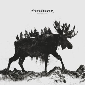 Bizarrekult - For 1000 År Siden