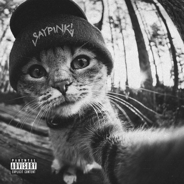 Saypink! - Забери меня обратно
