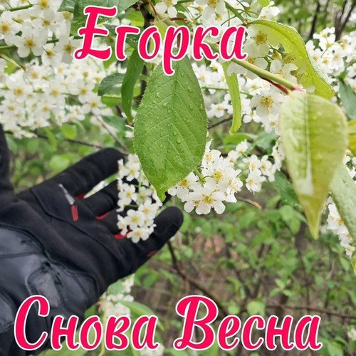 Егорка jm - Честный парень
