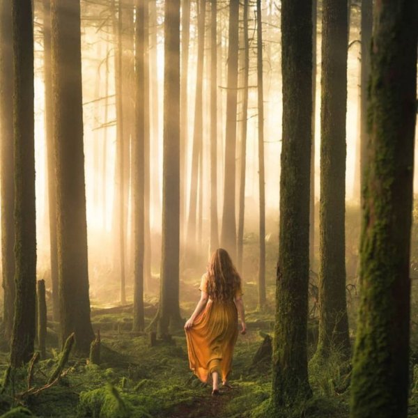 GwFrédéric ChopinMYSTERIOUS FOREST - FRÉDÉRIC FRANÇOIS CHOPINMYSTERIOUS FOREST