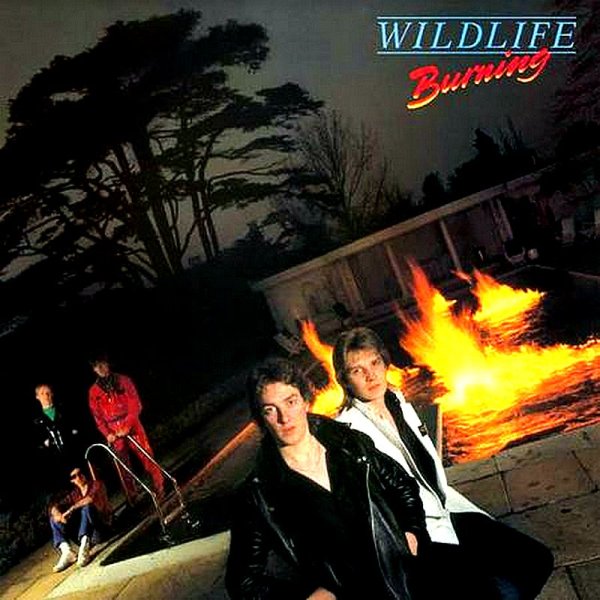 Wildlife - Alena