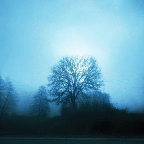 Cursed Void - Midnight Love