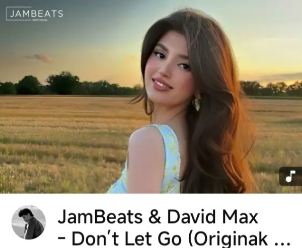 JamBeats, David Max - Dont Let Go (Originak Mix) [audmix.net]