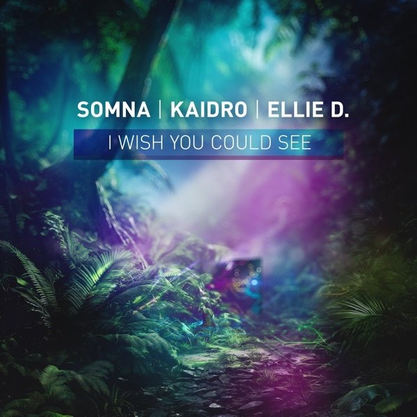 Somna, Kaidro &amp; ellie d. - I Wish You Could See (Extended Mix)