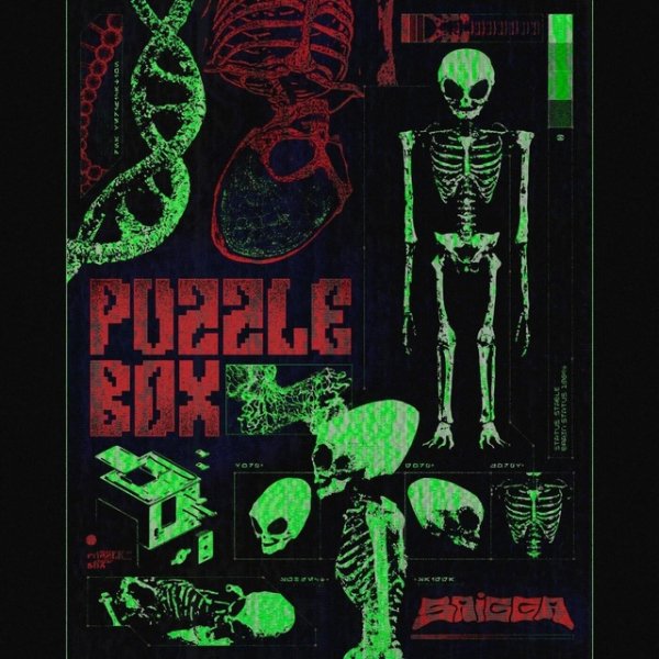Saigga - Puzzle Box