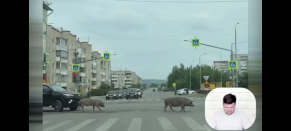 Ост Берегись автомобиля - Без названия