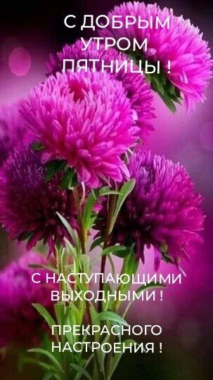 Друзья мои!
