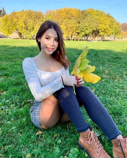 picture_381081838