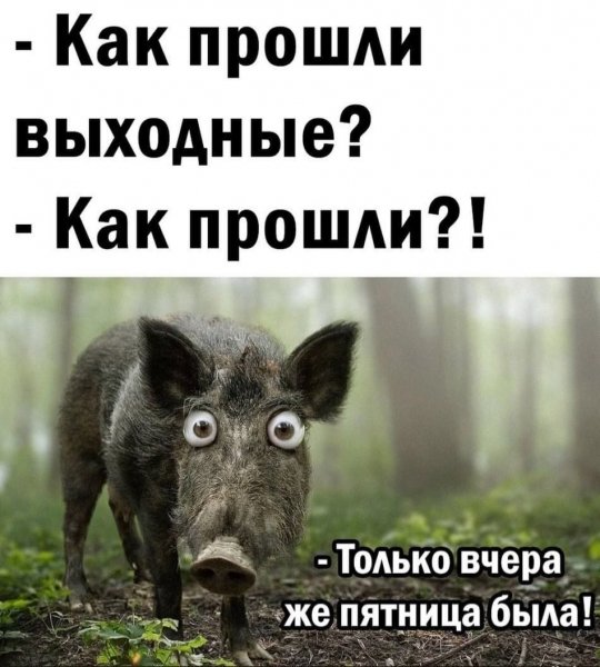 p.1200.1200.0