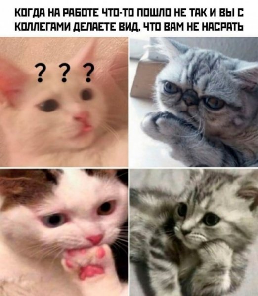 Cbf5653527 20292194