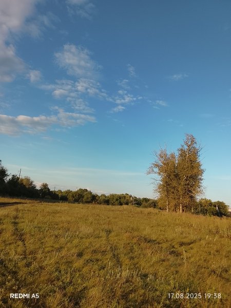 picture_394527510