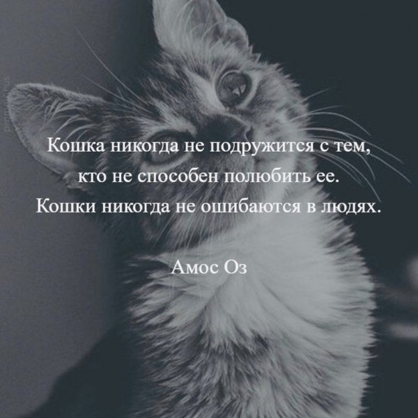 Всё верно!