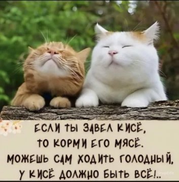 picture_394526720