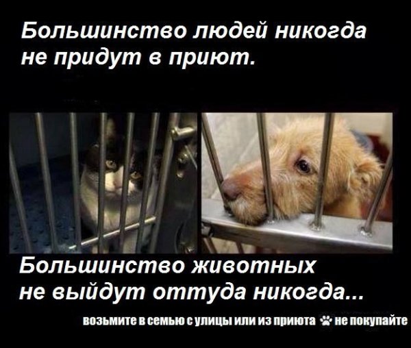 Горькая правда жизни