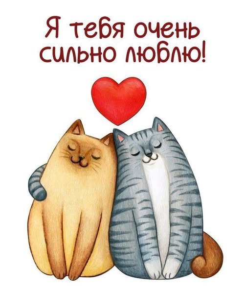 Ятебя очень сильно люблю
