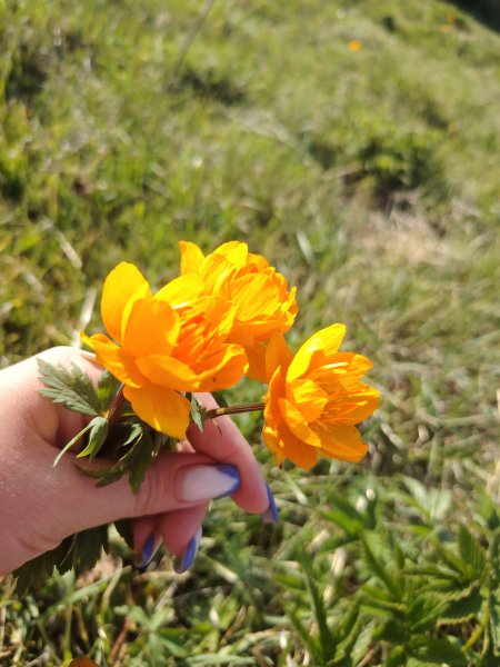 picture_394392828
