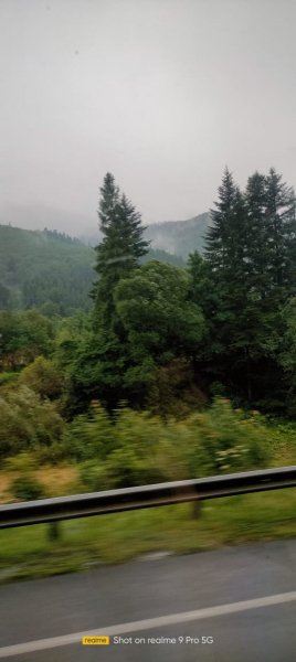 picture_393418541