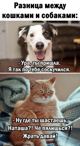 Эх, ма... )))