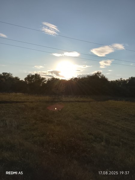 picture_394527500