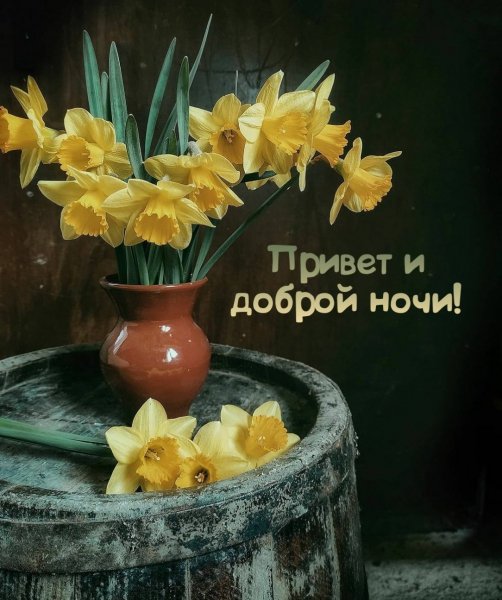 Друзья мои!