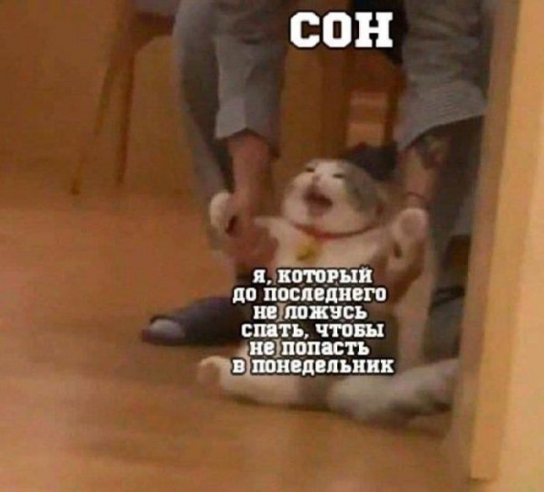 -ubojnaja-podborka-memov-i-kommentariev-uzhe-zdes-1