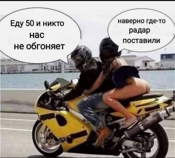 53e503abf9 20301799