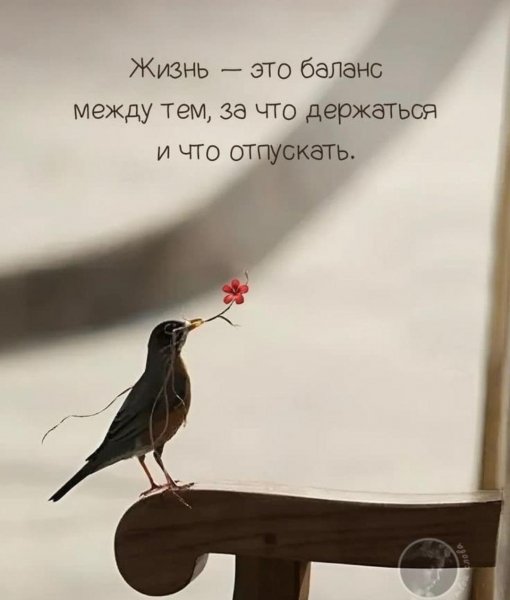 IMG-20250827-WA0202