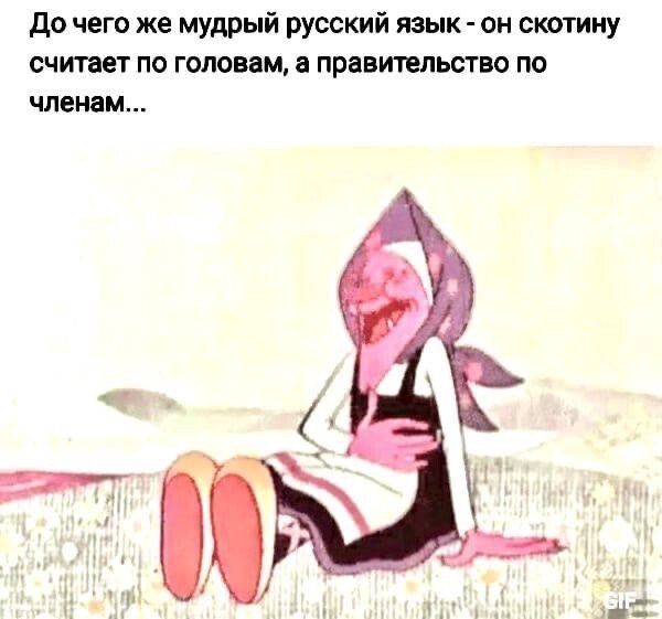 p.600.600.0