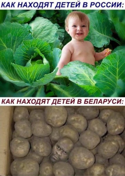 97e4e955fc 20291858