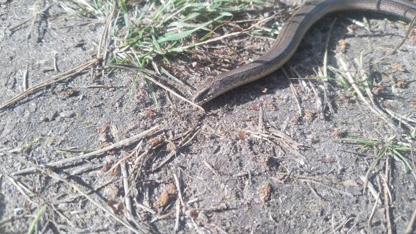 picture_391903089