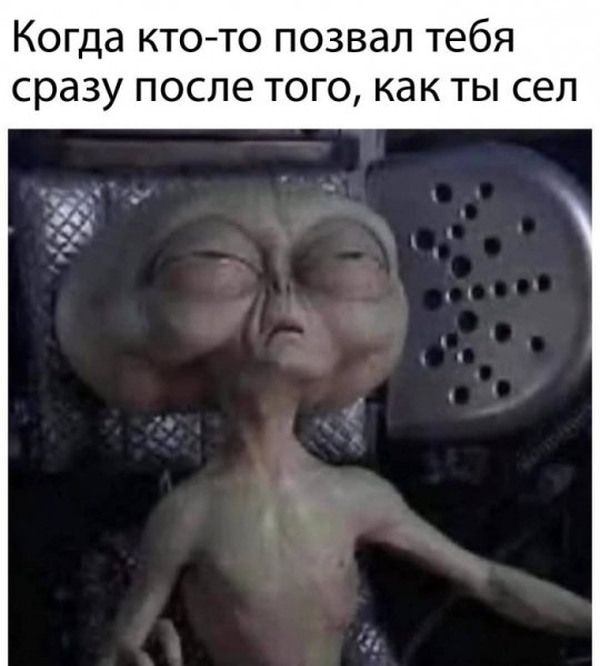 Sbornik-jumora-v-memah-i-prikolnyh-fotografijah-v-pjatnicu-4