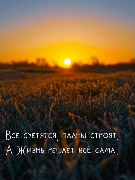 B0803d24b7cbf66a14d6ff9623fe6345