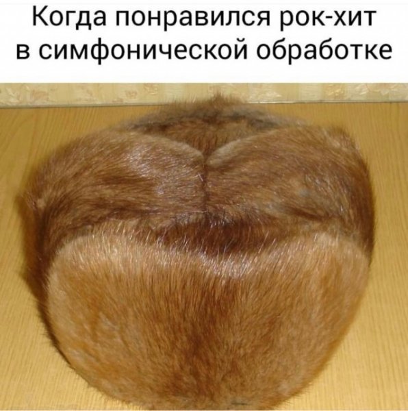 8f8f002908 20275217