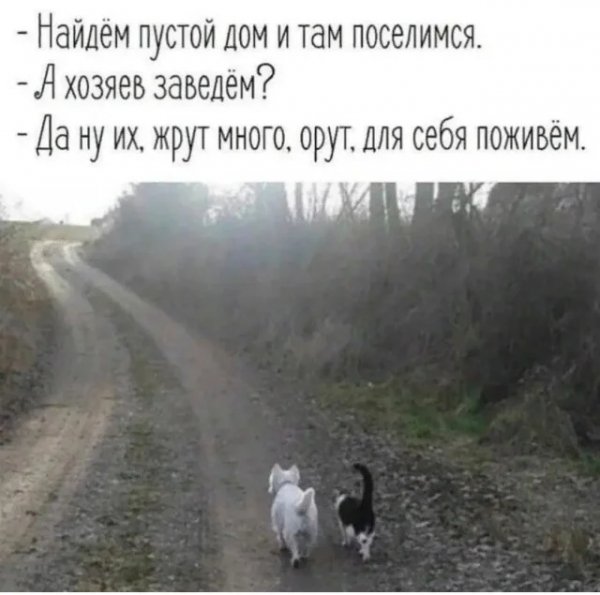 Memy14