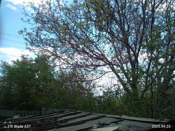 IMG 20250423 122459 HDR