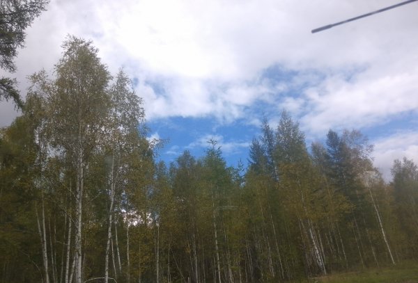 Осень