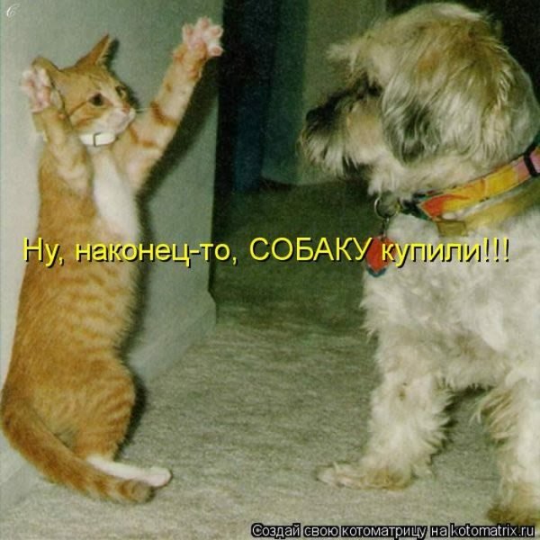 Ну, наконец-то...