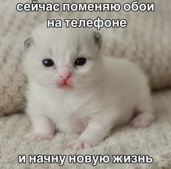 Ebf06a7fa0 20275226