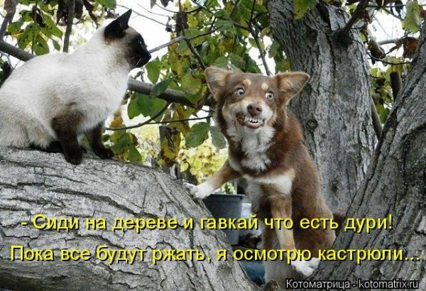 Ясно?